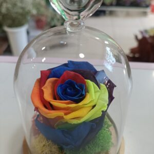 Вечна роза Rainbow