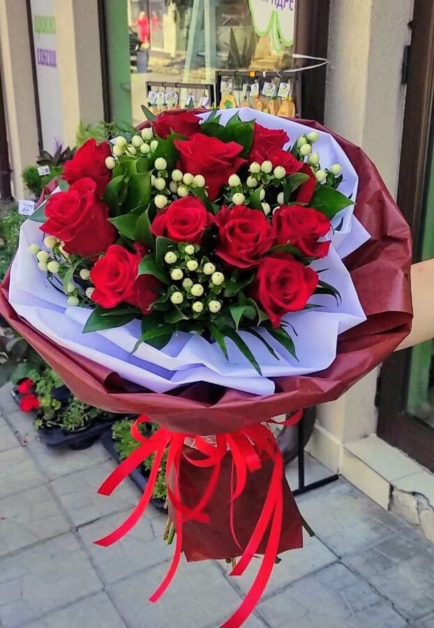 Мелиса