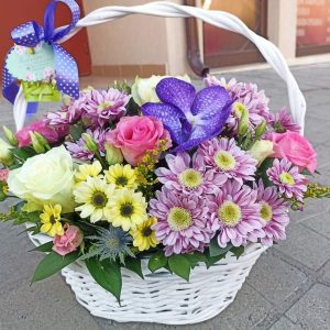 Алис