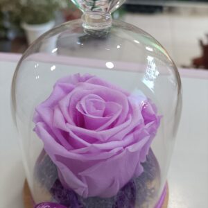 Вечна роза Violet