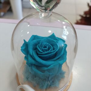 Вечна роза Turquoise