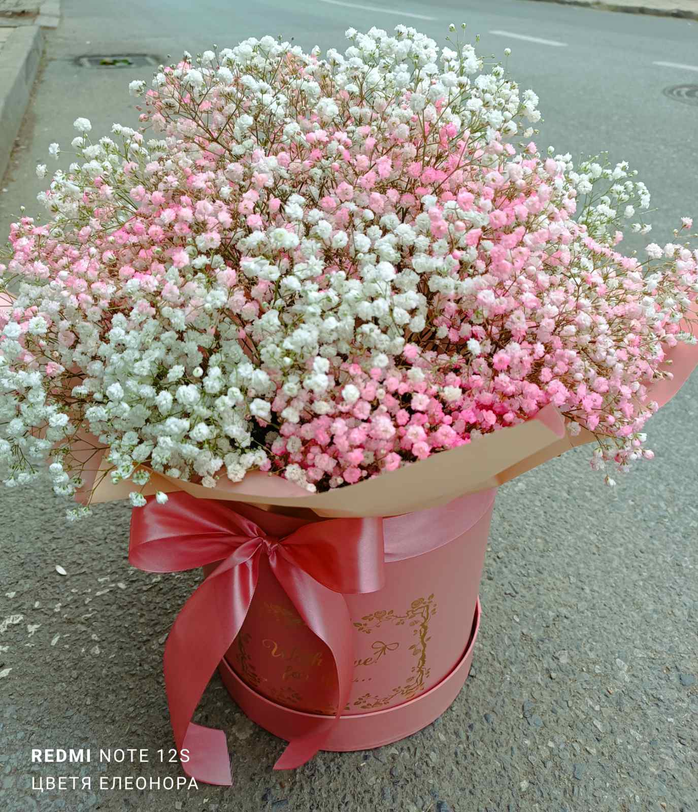 Гипсофила в кутия - Image 2