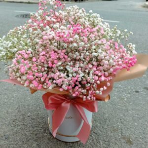 Гипсофила в кутия